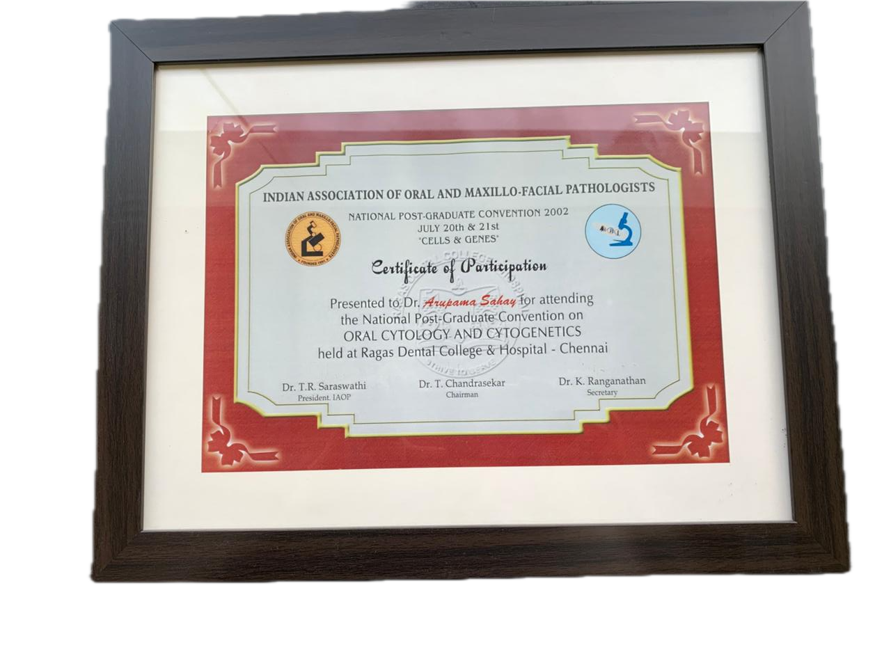 Certificate of Participation